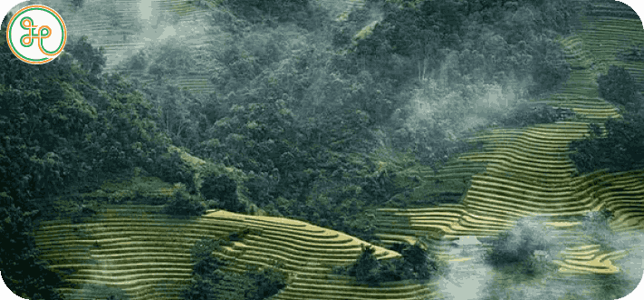 Land Acquisition