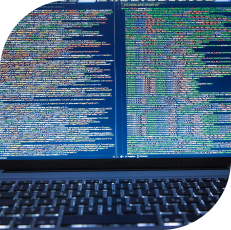 GIGW Compliant Websites